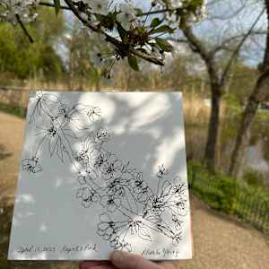 Blossoms, Regent's Park, April 15, 2023 by Rhonda Young, Image 2.