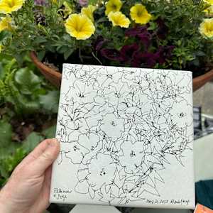 Petunias and Ivy, May 21, 2023 by Rhonda Young, Image 5.