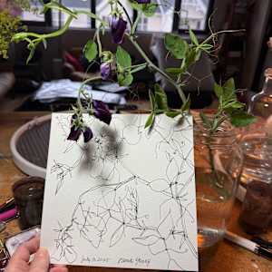 Purple Sweet Peas, July 19, 2025 by Rhonda Young, Image 2.