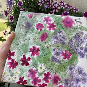 Petunias, June 25, 2023 by Rhonda Young, Image 1.