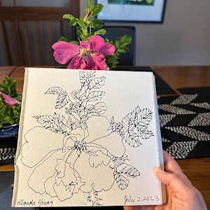 Maria's Rose, July 2, 2023 by Rhonda Young, Image 4.