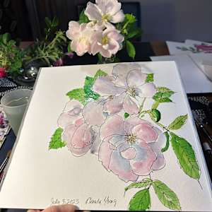 Light Pink Roses, July 3, 2023 by Rhonda Young, Image 2.