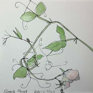 Sweet Peas, July 12, 2023 by Rhonda Young