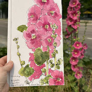 Hollyhocks, Edmonton General Hospital by Rhonda Young, Image 2.