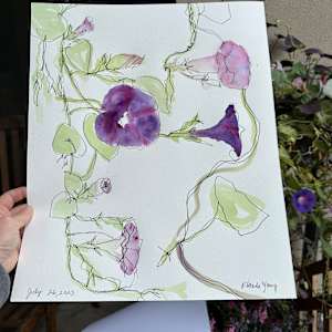 Morning Glory, July 26, 2023 by Rhonda Young, Image 1.