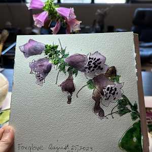 Foxglove, August 25, 2023 by Rhonda Young, Image 3.