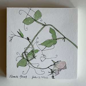 Sweet Peas, July 12, 2023 by Rhonda Young, Image 2.