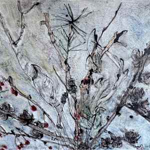 Late Winter, February 1, 2026 by Rhonda Young, Image 1.