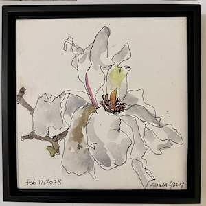 White Magnolia, February 17, 2023 by Rhonda Young, Image 2.