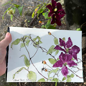 Rose Garden Hyde Park, Oct 9, 2023 by Rhonda Young, Image 1.