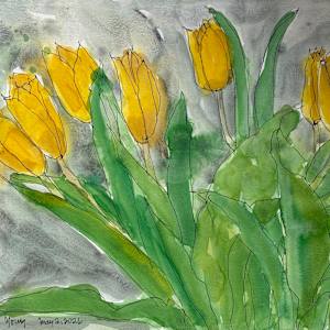 Yellow Tulips, May 2, 2026 by Rhonda Young, Image 1.
