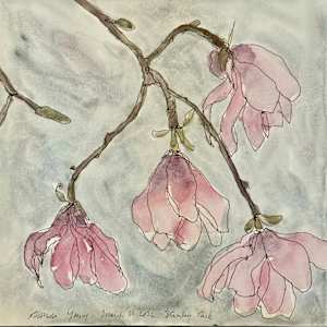 Stanley Park Magnolias, March 30, 2026 by Rhonda Young, Image 1.