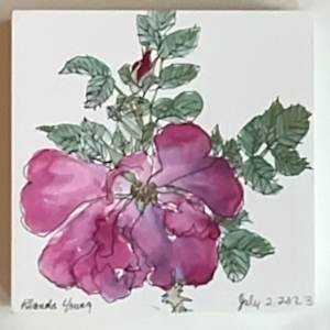 Maria's Rose, July 2, 2023 by Rhonda Young, Image 2.