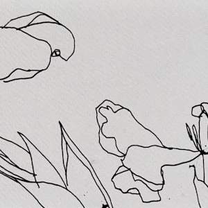 Tulips, February 5, 2023 by Rhonda Young