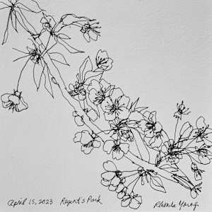 Blossoms, Regent's Park, April 15, 2023 by Rhonda Young