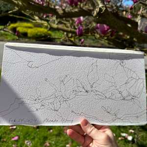Magnolia Branch, Golden Gate Park, February 24, 2024 by Rhonda Young, Image 3.