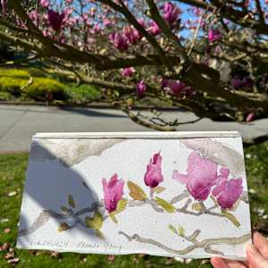 Magnolia Branch, Golden Gate Park, February 24, 2024 by Rhonda Young, Image 5.