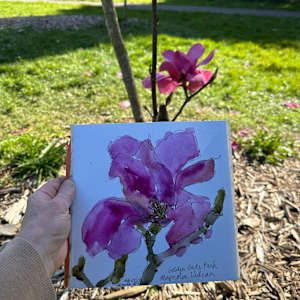 Ian's Red, Golden Gate Park San Francisco, February 24, 2024 by Rhonda Young, Image 2.