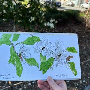 Magnolia, Washington Square San Francisco, February 26, 2024 by Rhonda Young, Image 1.