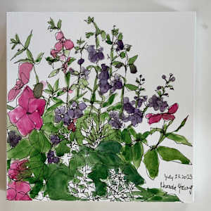 Summer Joy, July 23, 2023 by Rhonda Young, Image 1.