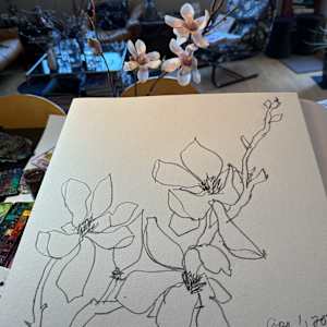 Magnolia branches, April 1, 2024 by Rhonda Young, Image 2.