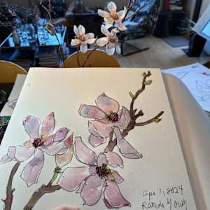 Magnolia branches, April 1, 2024 by Rhonda Young, Image 3.