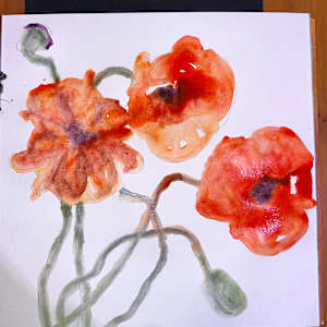 Tall Poppies #1 by Rhonda Young, Image 3.