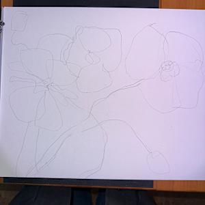 Tall Poppies #2 by Rhonda Young, Image 2.