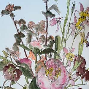 Pink and Yellow Observation by Rhonda Young