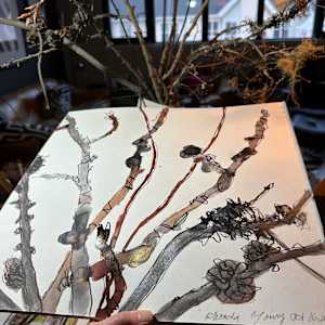 Fall Branches, October 16, 2024 by Rhonda Young 