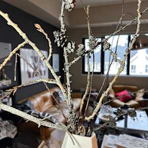 Winter Branches, October 27, 2024 by Rhonda Young, Image 3.