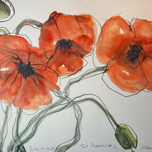 Tall Poppies #2 by Rhonda Young