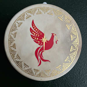 Phoenix Rising by Nychelle Schneider