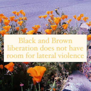 Lateral Violence by Brandi Douglas