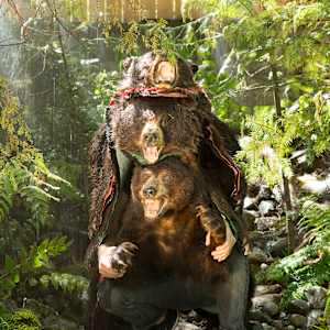 Scenes from the nanoforest: Three Bear Stack by Daniel R Smith