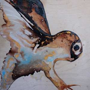 Néʼéshjaaʼ by Michelle Whitehorse