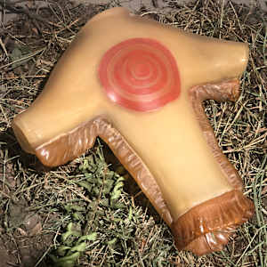 Fallen Warrior by Douglas Slay Sliinlaas Burgess