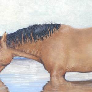 The Reflecting Pool by Kelly Leahy Radding