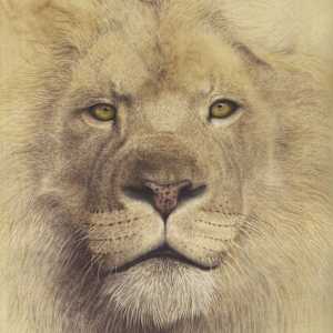 I am STILL King by Kelly Leahy Radding