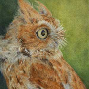 Minuet in Red by Kelly Leahy Radding