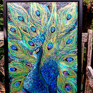 Peacock by Jana 