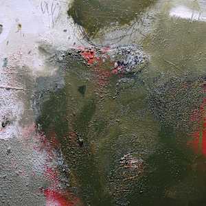 unfinished SECRET GARDEN by Daniela Schweinsberg  Image: Detail