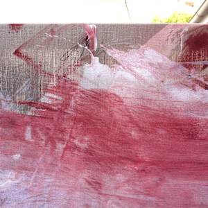 PINK NOISE by Daniela Schweinsberg  Image: Detail