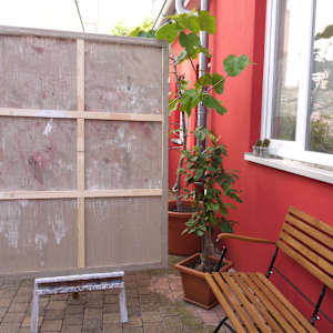 PINK NOISE by Daniela Schweinsberg  Image: Back
