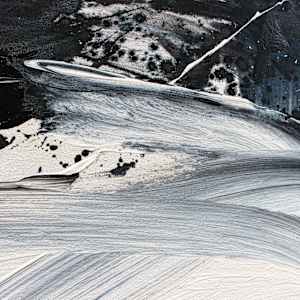 THERE'S A STORM FRONT COMING by Daniela Schweinsberg  Image: Detail