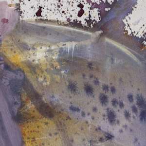 NACHTSCHWÄRMER by Daniela Schweinsberg  Image: Detail