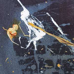 MIDNIGHT SUN by Daniela Schweinsberg  Image: Detail