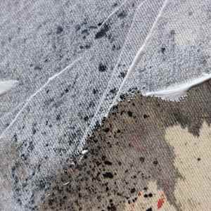 MAKE YOUR OWN KIND OF MUSIC no. 3 by Daniela Schweinsberg  Image: Detail