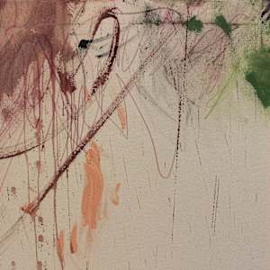 SOFT BLOOM, SHARP ARMOR by Daniela Schweinsberg  Image: Detail
