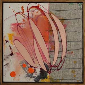 SOW WHAT? 8 by Daniela Schweinsberg  Image: Full frontal, framed